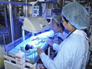 Tin tức - Vụ 4 trẻ tử vong ở Bắc Ninh: Thêm nhiều trẻ nhiễm khuẩn huyết nặng, phải theo dõi từng giờ