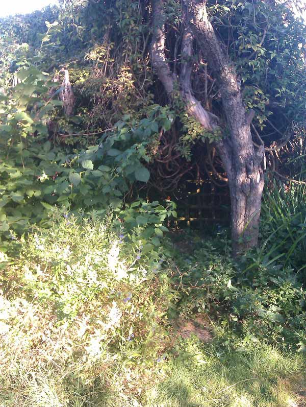 yeu thich phim hobbit, anh chang tu tay xay nha ti hon cuc dep ngay trong vuon - 2