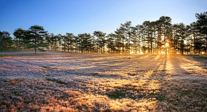 Khám phá Đà Lạt ngày đông với ưu đãi siêu hấp dẫn 65% chỉ có tại Mytour.vn - 1