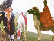 Xem & Đọc - Bất ngờ số phận Bạch Long Mã sau 5 năm ròng phục vụ thầy trò Đường Tăng