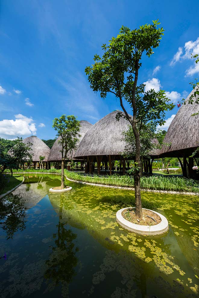 Ngỡ ngàng nhà tranh khổng lồ như khóm nấm tuyệt đẹp giữa núi rừng Sơn La - 2