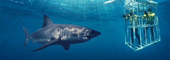 Khám phá đất nước Nam Phi với những trải nghiệm tuyệt vời - 2