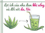 Làm đẹp - Không chỉ có tác dụng khi uống, nha đam còn là loại mỹ phẩm dành riêng cho da và tóc!