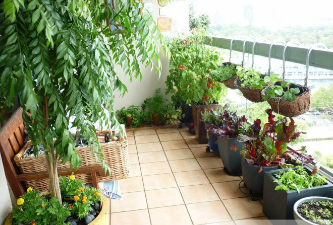 Những cách giảm tiếng ồn cực kì hiệu quả cho nhà gần đường - 4