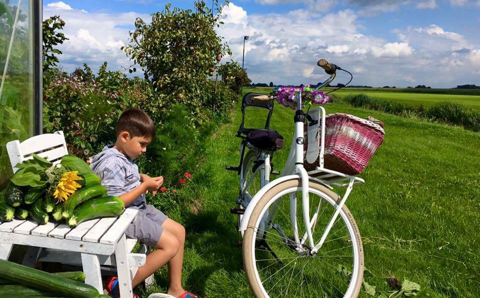 Những khu vườn cây trái sai trĩu trịt đáng ngưỡng mộ của ông bố bà mẹ Việt ở trời Tây - 6