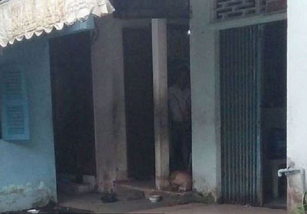 Bất ngờ với những căn nhà ở quê đơn sơ trái ngược với nhà tiền tỷ của sao Việt - 8