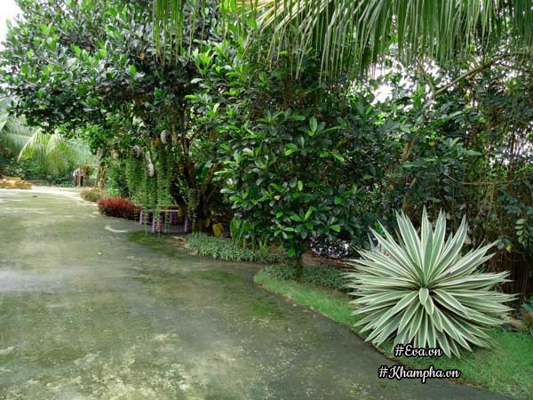 2 thang "tu tay lam het", 9x tay ninh bien manh dat trong thanh khu vuon dep nhu cong vien - 9