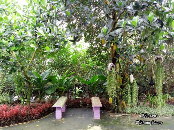 2 thang "tu tay lam het", 9x tay ninh bien manh dat trong thanh khu vuon dep nhu cong vien - 10