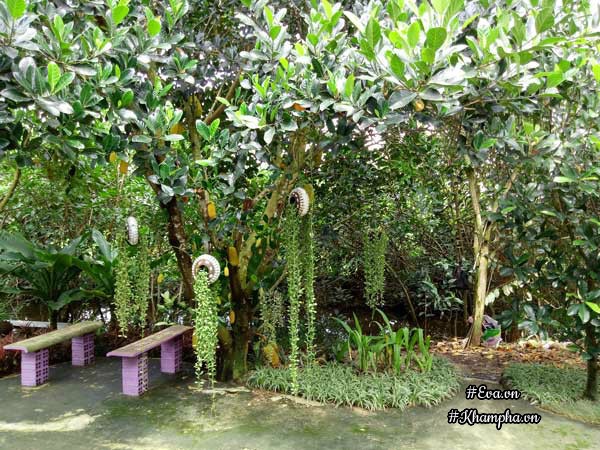 2 thang "tu tay lam het", 9x tay ninh bien manh dat trong thanh khu vuon dep nhu cong vien - 6