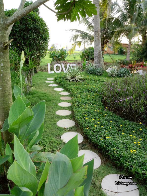 2 thang "tu tay lam het", 9x tay ninh bien manh dat trong thanh khu vuon dep nhu cong vien - 4