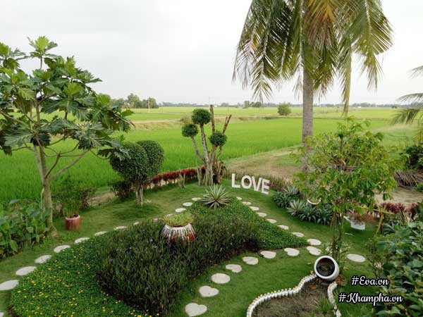 2 thang "tu tay lam het", 9x tay ninh bien manh dat trong thanh khu vuon dep nhu cong vien - 5