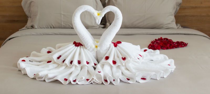 Tự tay gấp chim thiên nga bằng khăn tắm tuyệt đẹp cho giường cưới - 10