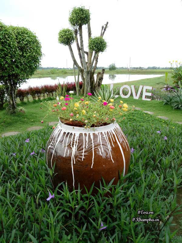 2 thang "tu tay lam het", 9x tay ninh bien manh dat trong thanh khu vuon dep nhu cong vien - 14