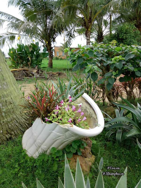 2 thang "tu tay lam het", 9x tay ninh bien manh dat trong thanh khu vuon dep nhu cong vien - 15