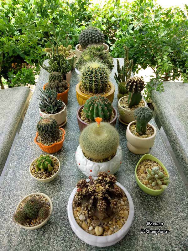 2 thang "tu tay lam het", 9x tay ninh bien manh dat trong thanh khu vuon dep nhu cong vien - 17