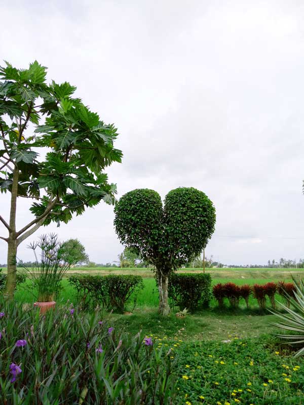 2 thang "tu tay lam het", 9x tay ninh bien manh dat trong thanh khu vuon dep nhu cong vien - 11