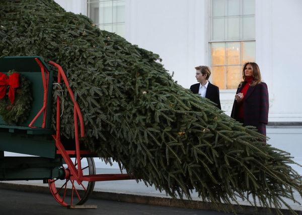 nha trang long lay dip noel duoi ban tay trang tri cua phu nhan melania trump - 2