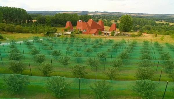 gianh giai kien truc cua nam, can biet thu van bi che ‘vua xau, vua lo’ - 15