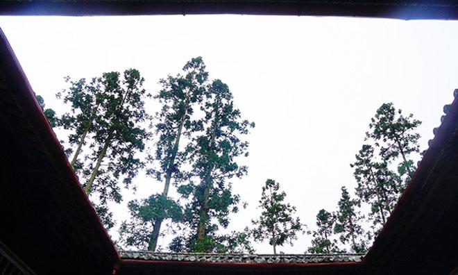 dinh thu 150 ty cua dong ho tung thong linh ca vung cao nguyen ha giang - 6