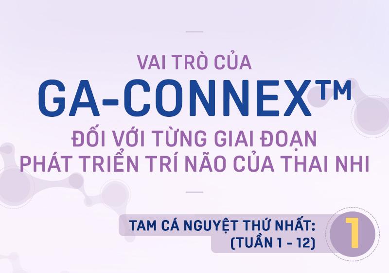 ngoai dha, ga-connex la duong chat khong the thay the de phat trien tri nao thai nhi - 1