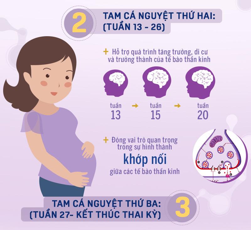 ngoai dha, ga-connex la duong chat khong the thay the de phat trien tri nao thai nhi - 3