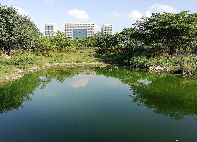 Cận cảnh “thủ phạmamp;#34; gây mùi khủng khiếp, amp;#34;đầu độcamp;#34; người dân Thủ đô - 3