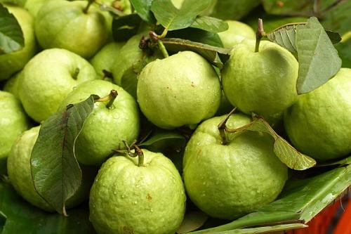 chay ra cho mua ngay nhung loai qua nay de noi khong voi da bong troc, nut ne - 3