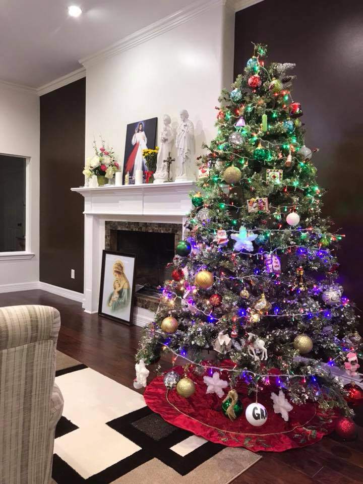 nha vuon rong rai tran ngap khong khi giang sinh cua ca si hong ngoc tai my - 3