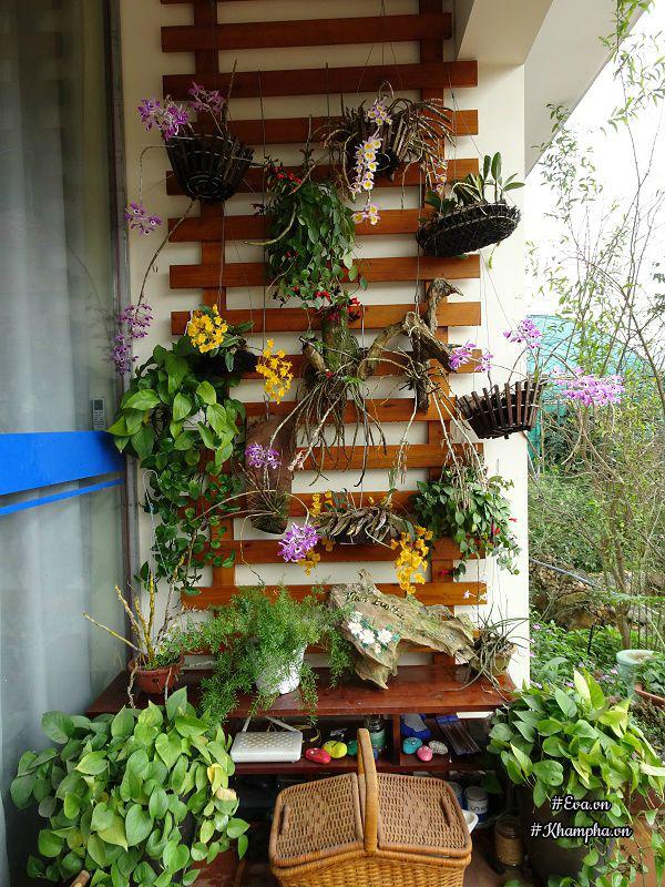 "bo pho len rung", doi vo chong ha noi ra ngoai o lam "lao nong tri dien" - 8