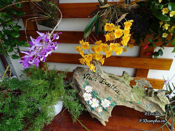 "bo pho len rung", doi vo chong ha noi ra ngoai o lam "lao nong tri dien" - 20