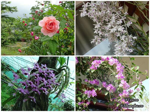 "bo pho len rung", doi vo chong ha noi ra ngoai o lam "lao nong tri dien" - 14