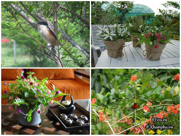 "bo pho len rung", doi vo chong ha noi ra ngoai o lam "lao nong tri dien" - 15