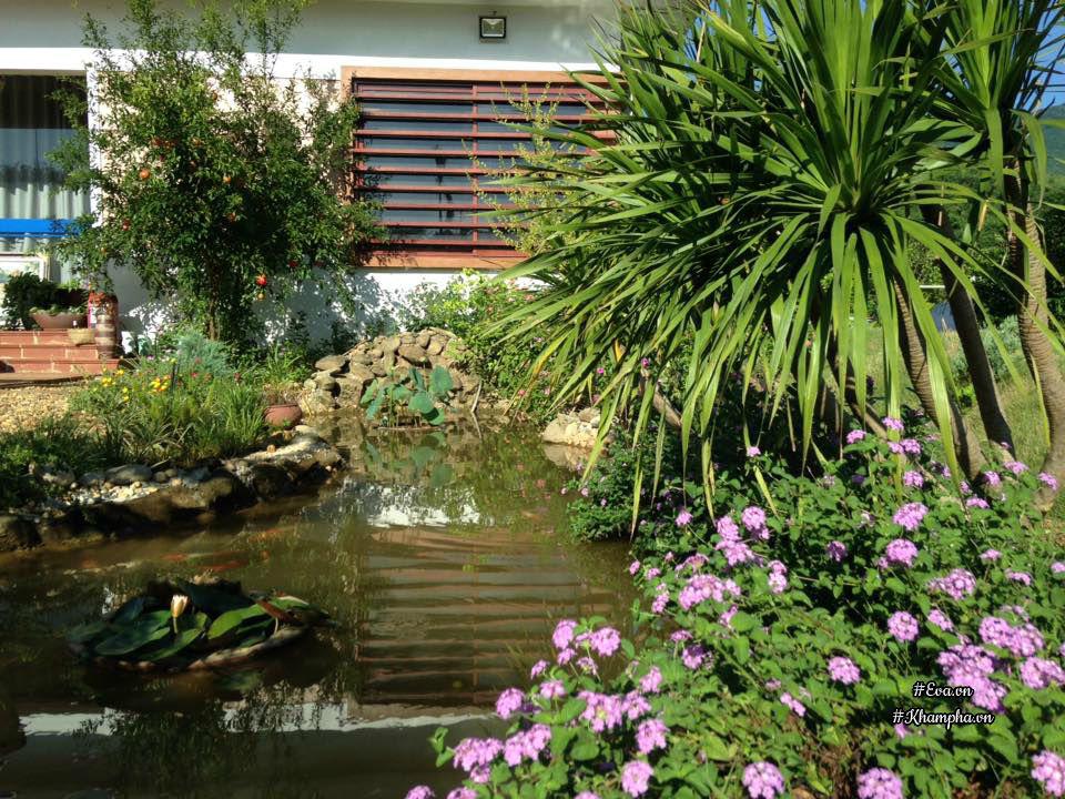 "bo pho len rung", doi vo chong ha noi ra ngoai o lam "lao nong tri dien" - 7