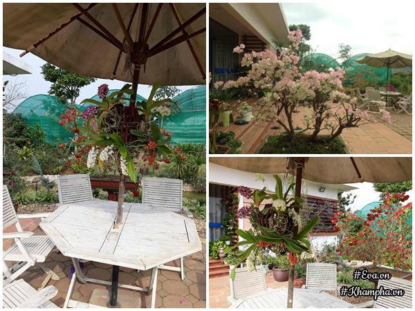 "bo pho len rung", doi vo chong ha noi ra ngoai o lam "lao nong tri dien" - 3