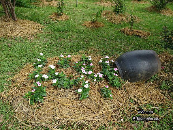 "bo pho len rung", doi vo chong ha noi ra ngoai o lam "lao nong tri dien" - 18
