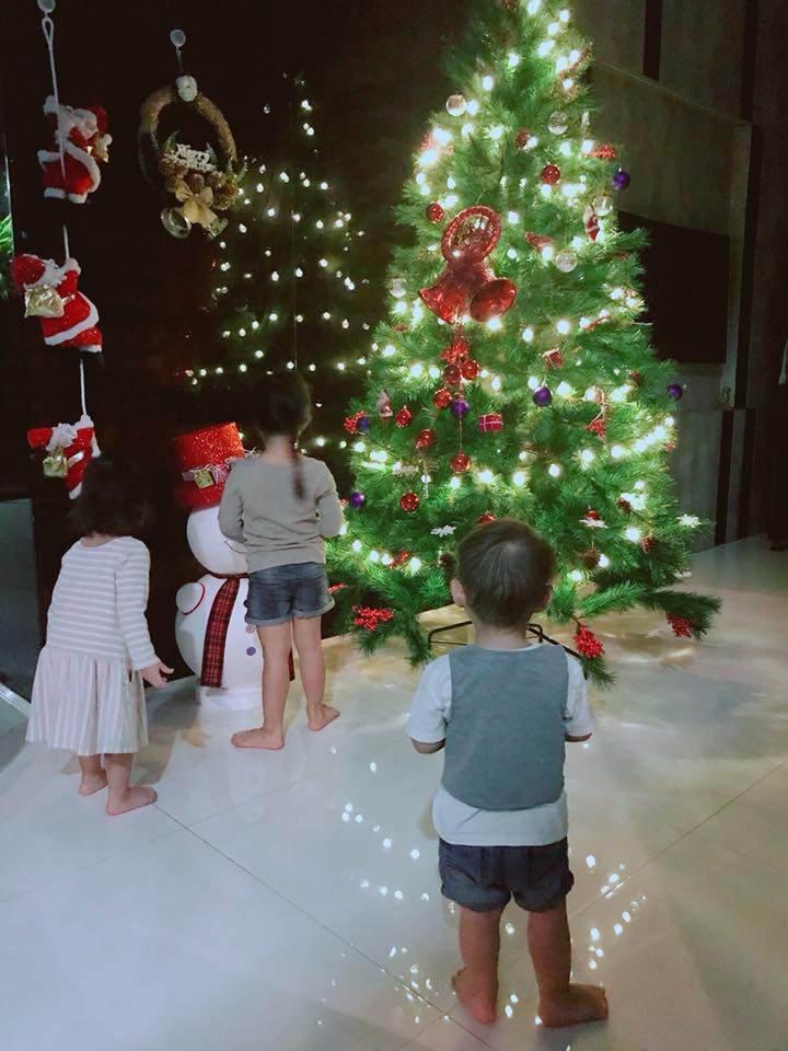 da mat ngam cay thong noel ruc ro nha ly hai minh ha do bon nhoc ti cung trang tri - 14