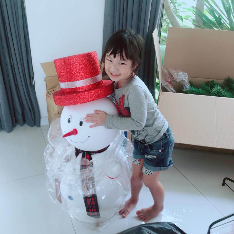 da mat ngam cay thong noel ruc ro nha ly hai minh ha do bon nhoc ti cung trang tri - 5