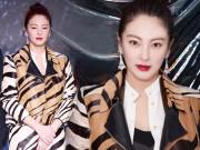 Làng sao - Ngôi sao 24/7: Người đẹp "Siêu khuyển thần thông" chứng tỏ "gái hai con đẹp mòn con mắt"