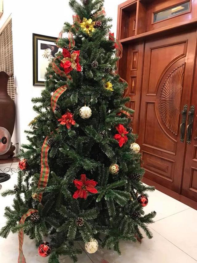 cac gia dinh viet no nuc trang tri nha ruc ro don giang sinh 2017 - 18