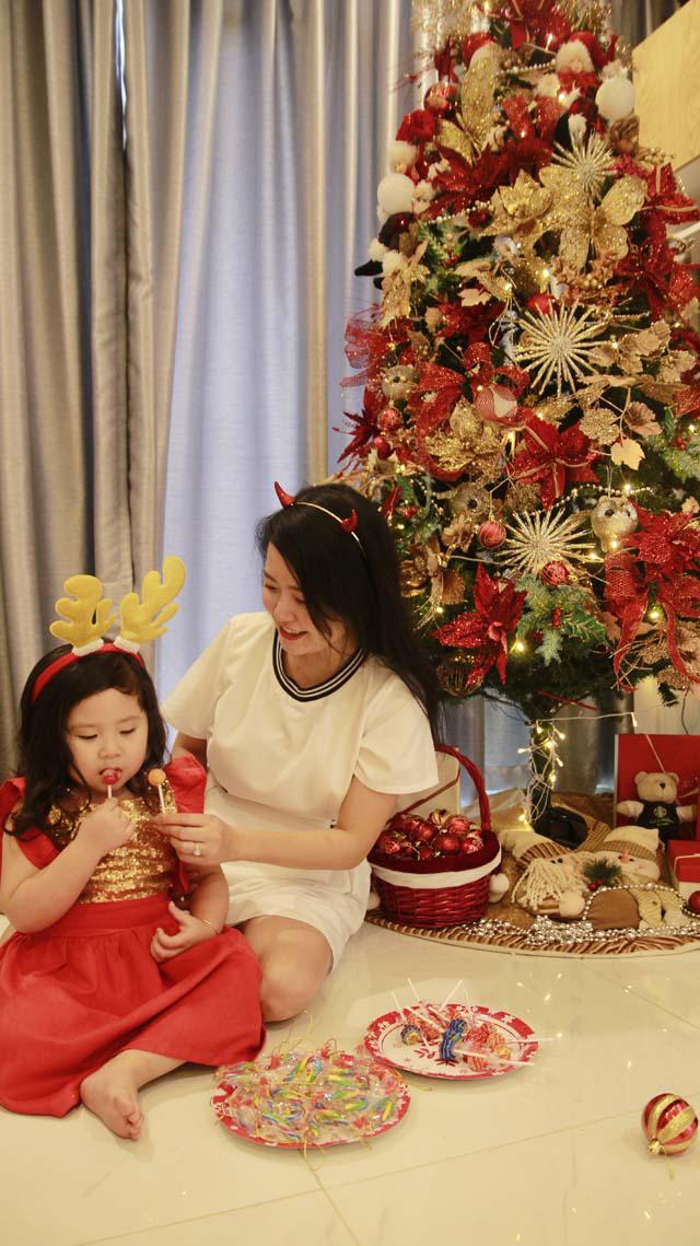 cac gia dinh viet no nuc trang tri nha ruc ro don giang sinh 2017 - 9