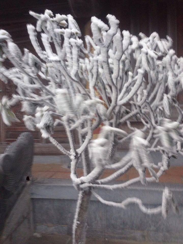 Sáng 19/12, đỉnh Fansipan phủ trắng xoá băng tuyết, nhiệt độ giảm xuống -4 độ C - 6