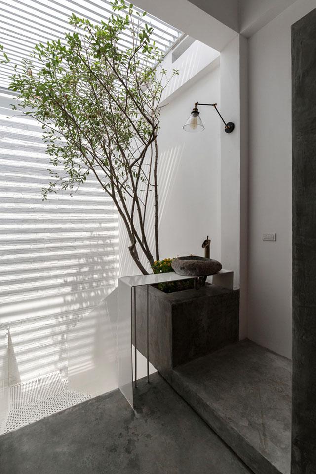 nam tit trong ngo nho o thu do, can nha ong van dep, sang, dang hoc hoi - 10