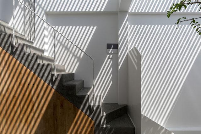 nam tit trong ngo nho o thu do, can nha ong van dep, sang, dang hoc hoi - 14