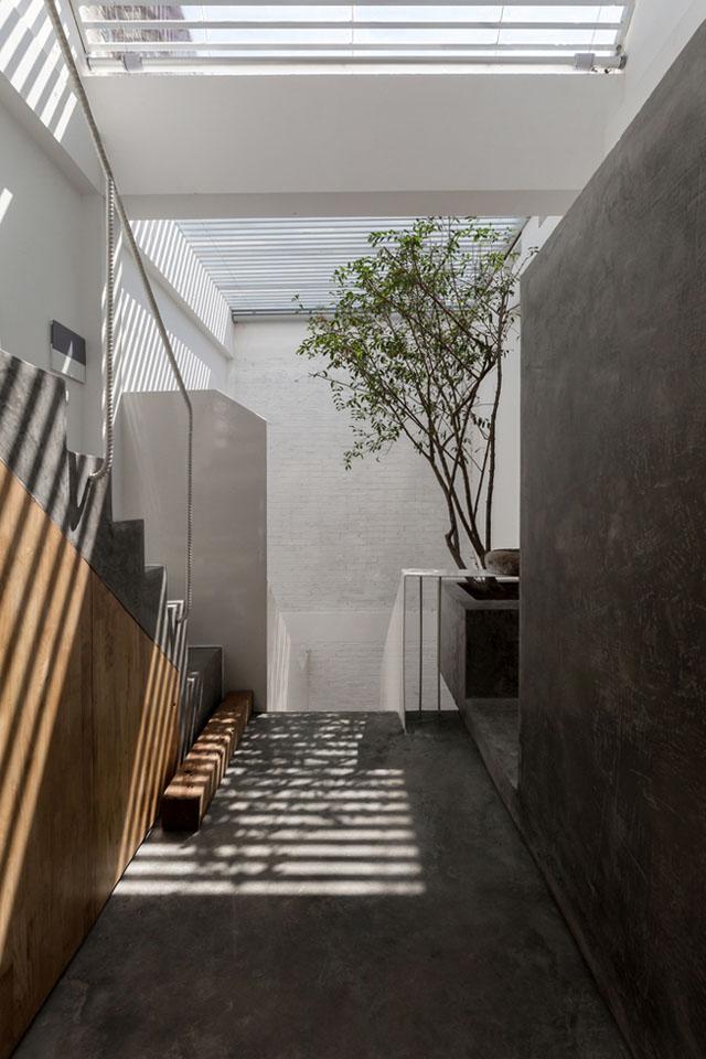 nam tit trong ngo nho o thu do, can nha ong van dep, sang, dang hoc hoi - 3