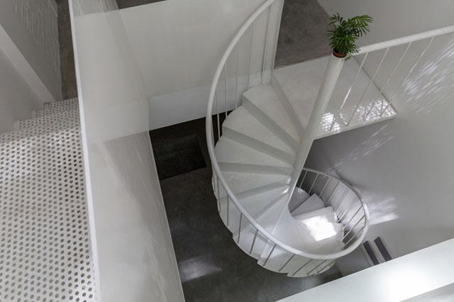 nam tit trong ngo nho o thu do, can nha ong van dep, sang, dang hoc hoi - 5