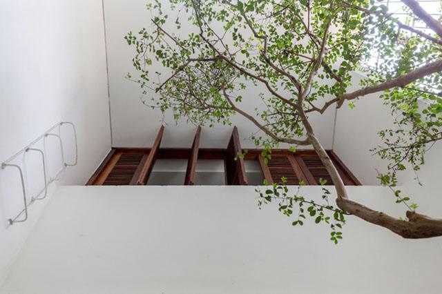 nam tit trong ngo nho o thu do, can nha ong van dep, sang, dang hoc hoi - 7