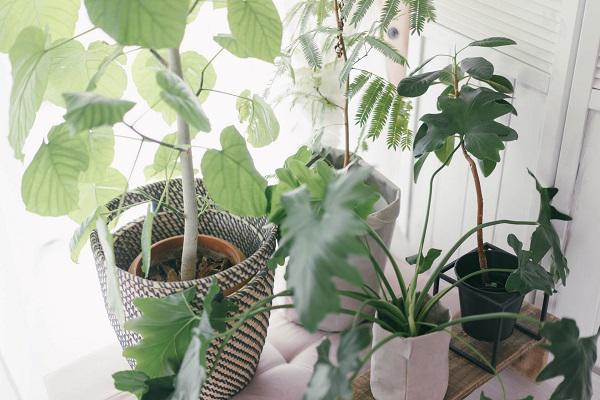 bat ngo voi phong tro 20m² ma “sang chanh” nhu can ho cao cap cua co nang doc than - 6