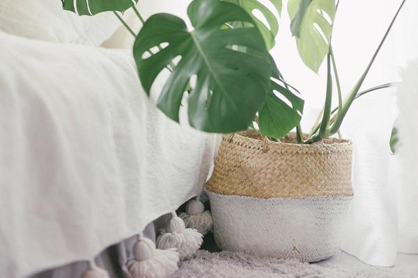 bat ngo voi phong tro 20m² ma “sang chanh” nhu can ho cao cap cua co nang doc than - 10