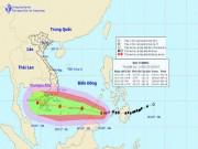 Tin tức - Khẩn cấp: Bão số 16 giật cấp 12 sẽ vào TPHCM