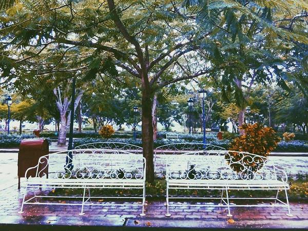 dan mang phat sot voi truong dai hoc dep nhu "hoc vien phu thuy hogwarts" o hau giang - 10